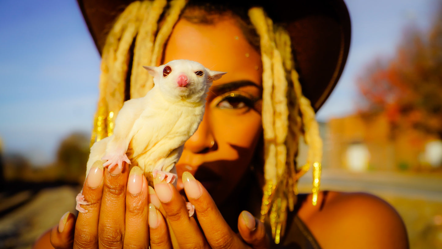 Animal Rentals