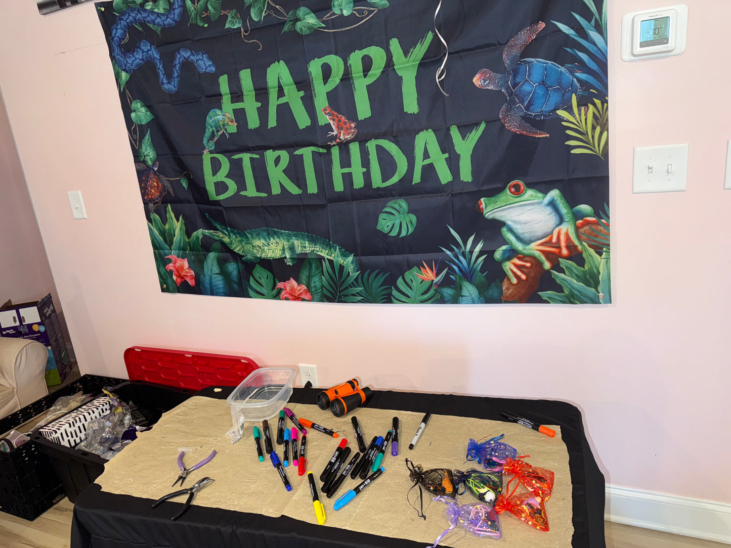 Fur, Feathers & Fun Birthday Bash