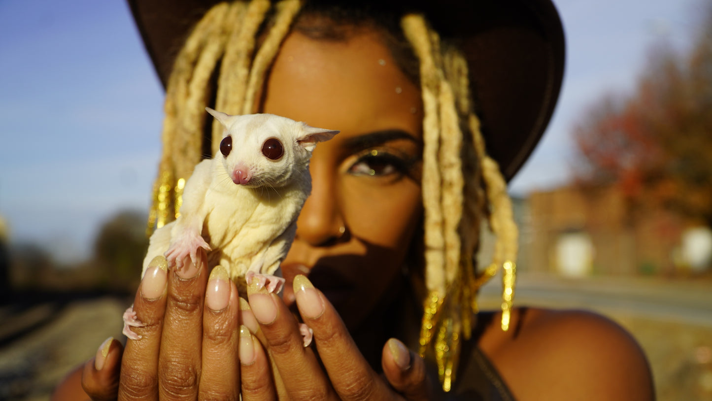 Animal Rentals