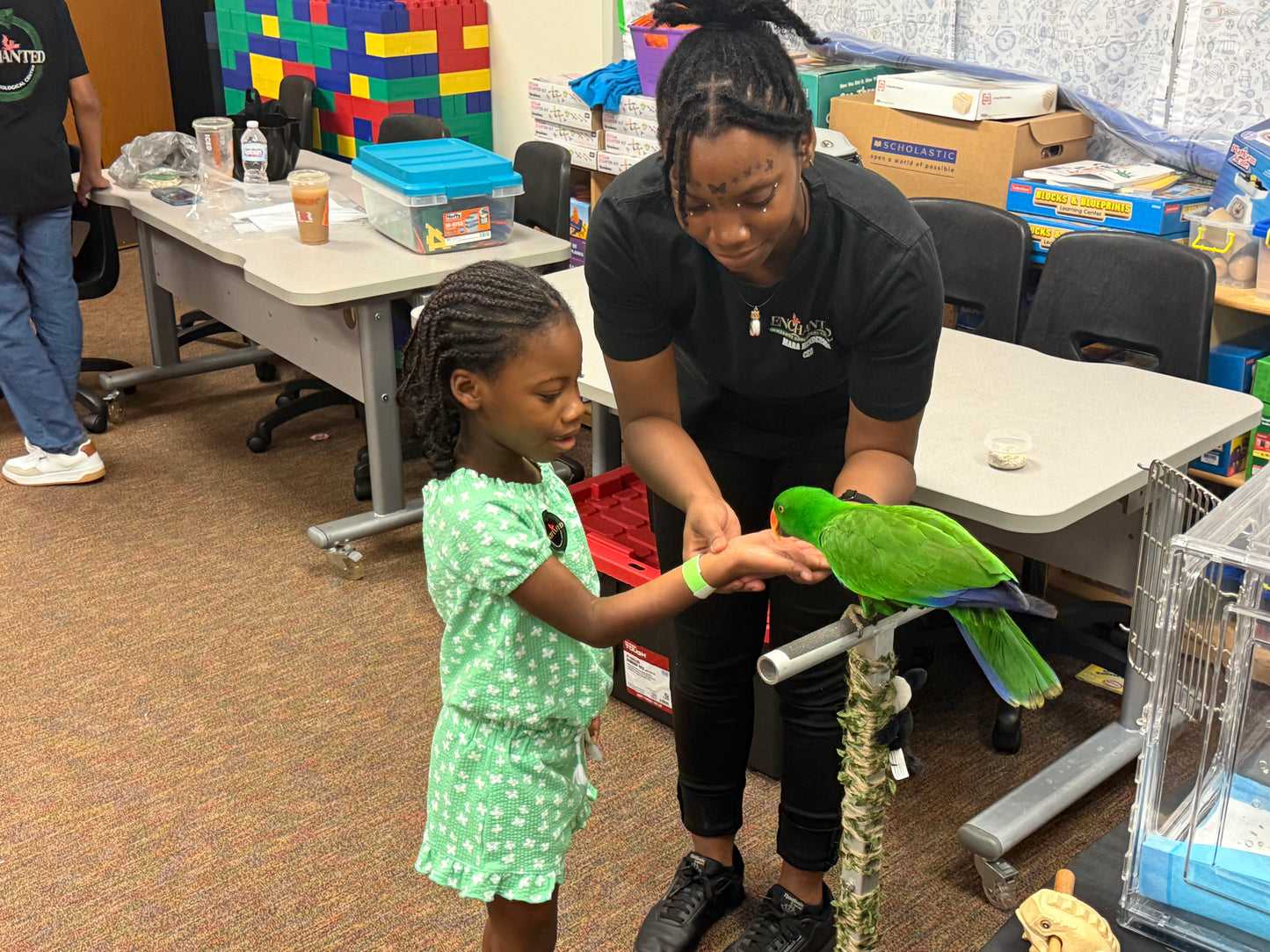 STEM in Motion: Zoology & Life Sciences Course