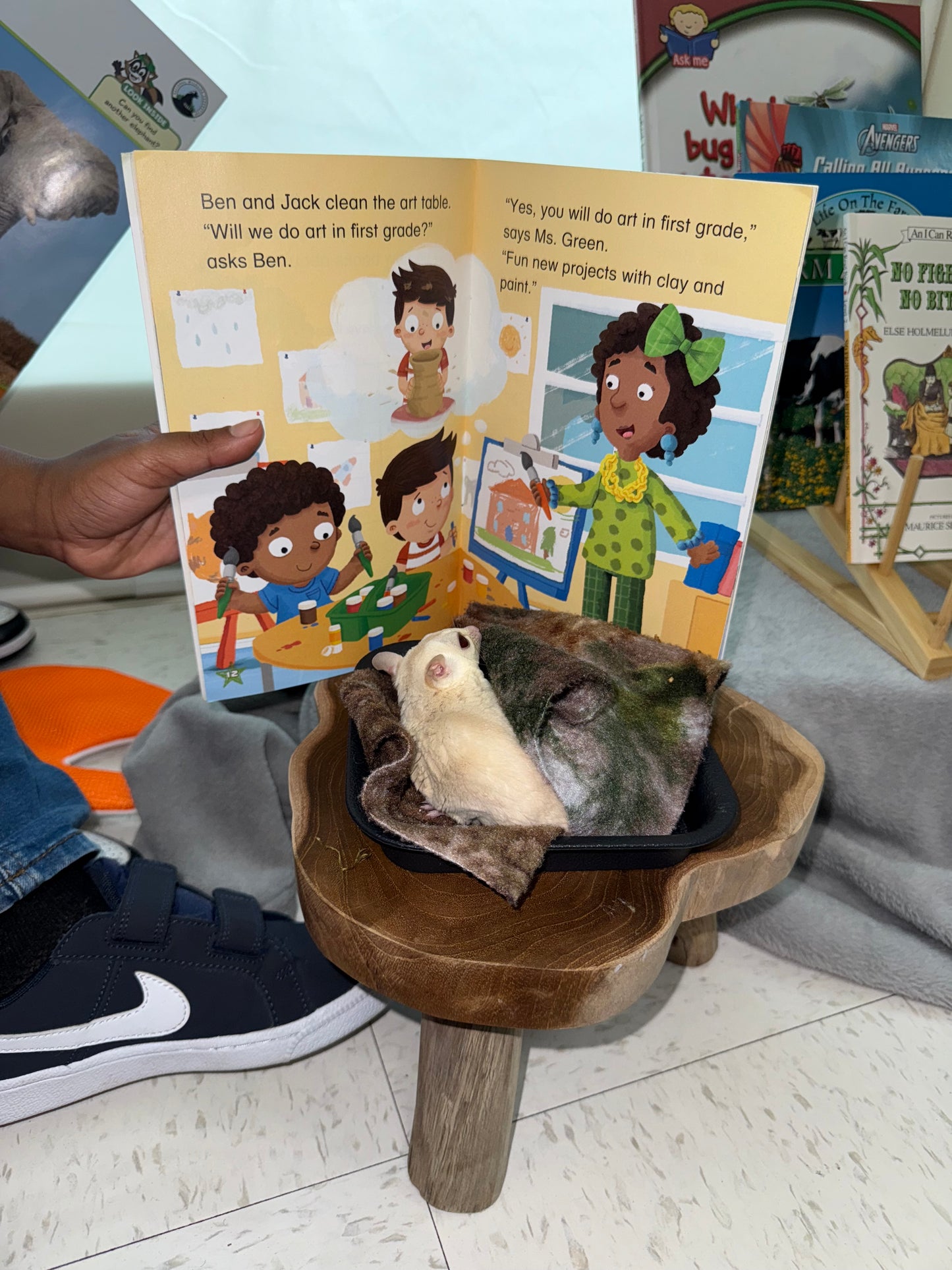 K-4th Literacy Program