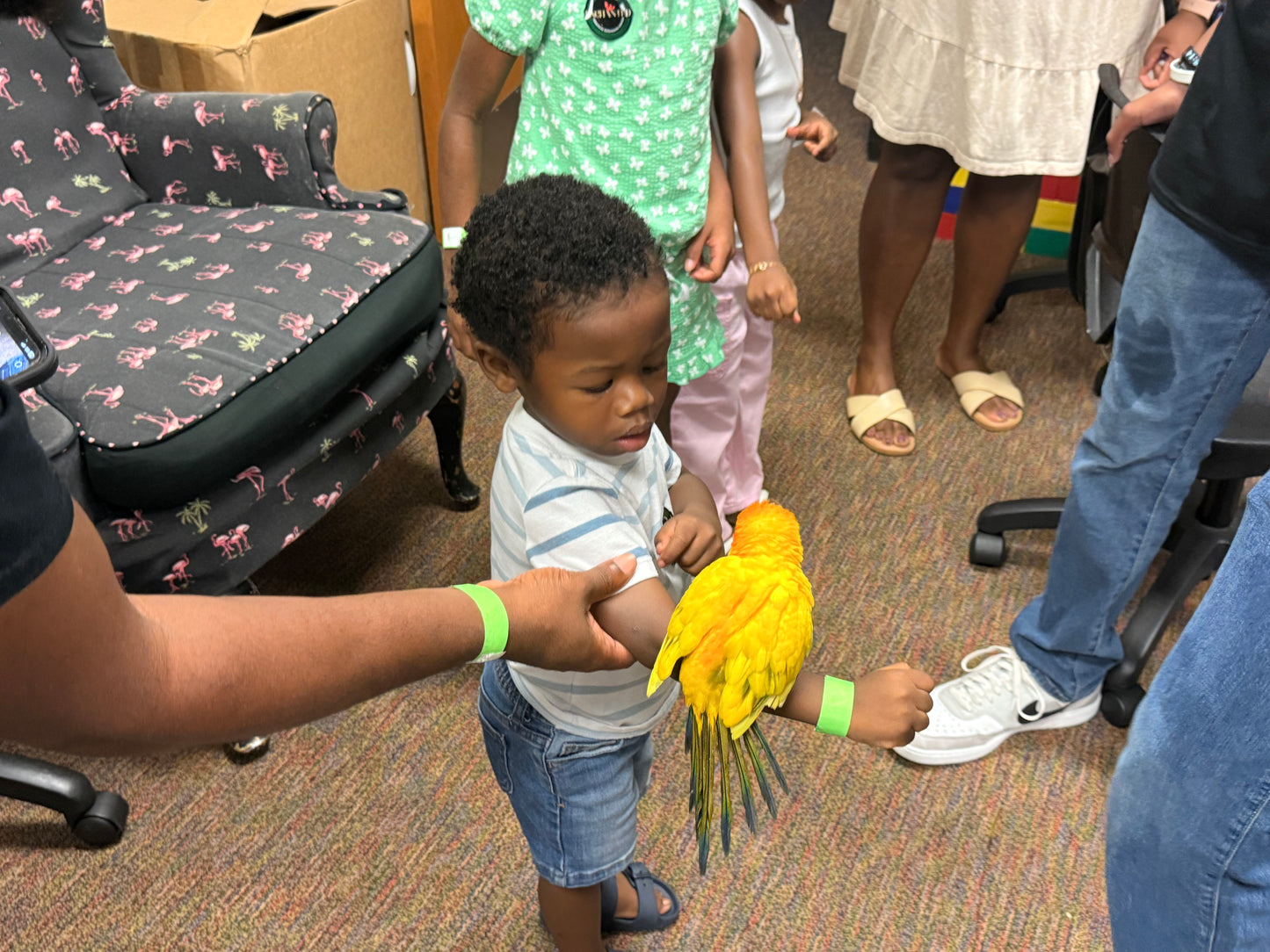 STEM in Motion: Zoology & Life Sciences Course